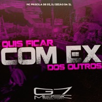 Quis Ficar Com Ex dos Outros - Single - Mc Priscilla De Oz & DJ ZEZÃO DA ZL