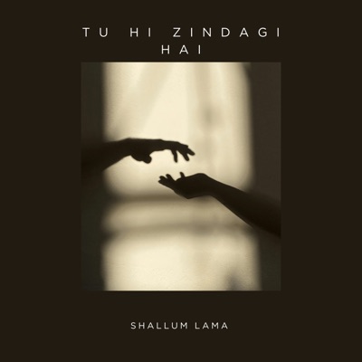 Tu hi zindagi hai - Single