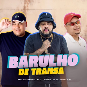 Barulho de transa