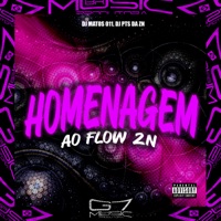 Homenagem ao Flow Zn - Single - DJ MATOS 011 & DJ PTS DA ZN