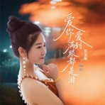 爱你爱到满眼都是泪 (DJ沈念版) - Single