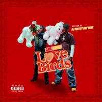 Love Birds - AMG Twinz