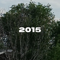 2015 - Single - Idaho Panic