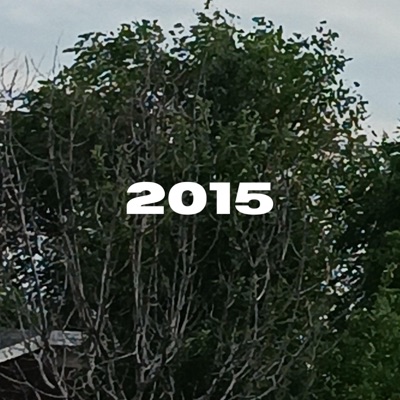 2015 - Single