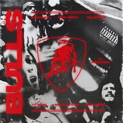 Bulls (feat. Ty Rose, Baby Zoom, Michxll Rain & Krexxton) - Single