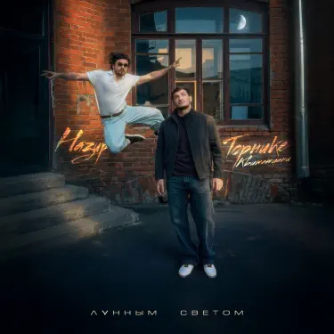 Лунным светом