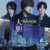 WANDS - 大胆 artwork