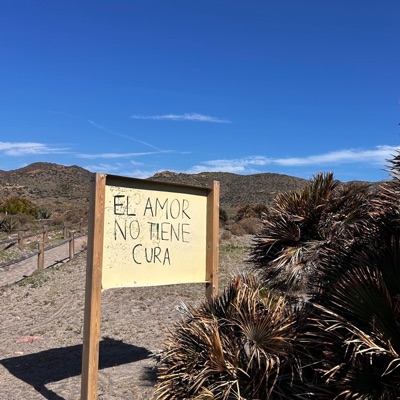 El amor no tiene cura - Single