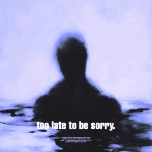 too late to be sorry. (Remixes) - Single