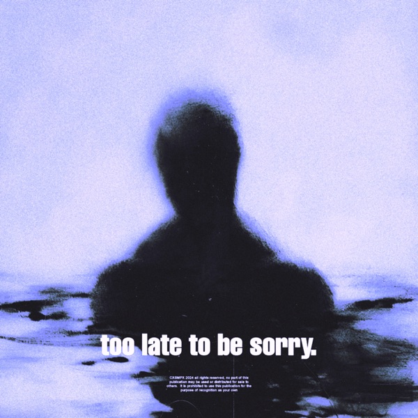 too late to be sorry. (Remixes) - Single