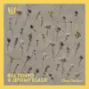 Bel Tempo & Jeremy Black - Chase The Sun