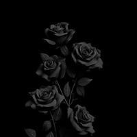 Black Roses (feat. Lil Za) - Single - LuhMill