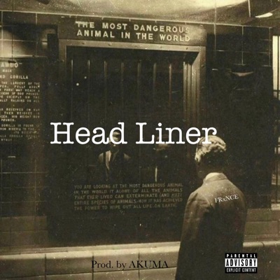 Head Liner - Single