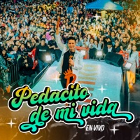 Pedacito de Mi Vida (En Vivo) - Single - Deyvis Orosco