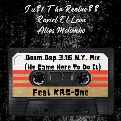 Boom Bap 3:16 N.Y. Mix (We Came Here To Do It) (feat. KRS-One) - Single