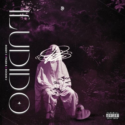 Iludido (feat. Roddy J, Tiger B & Rockin J) - Single