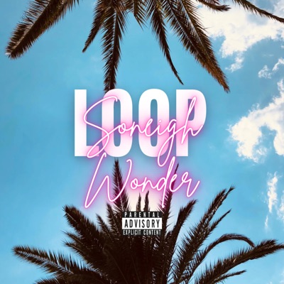 Loop (Fast) - Single