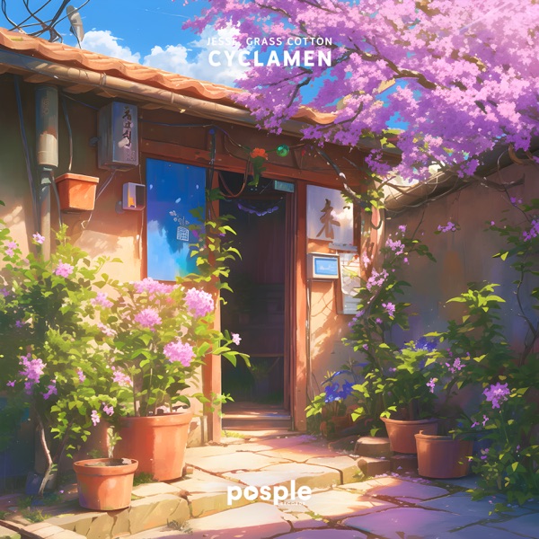 Cyclamen - Single