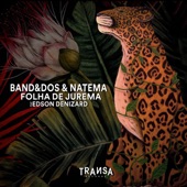 Folha de Jurema feat Edson Denizard artwork