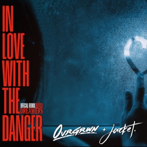 In Love With the Danger (The Bad Dreamers Remix) - Single