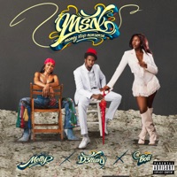 Money Stop Nonsense - Single - Boii, Melly & D3llian