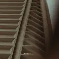 To Forget