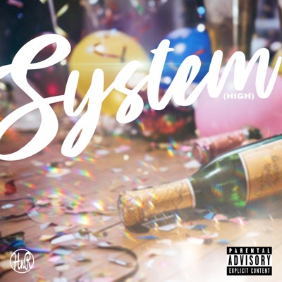 SYSTEM (high) (feat. Major MID & Emkay $) - Single