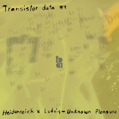 Unknown Pleasure - Single