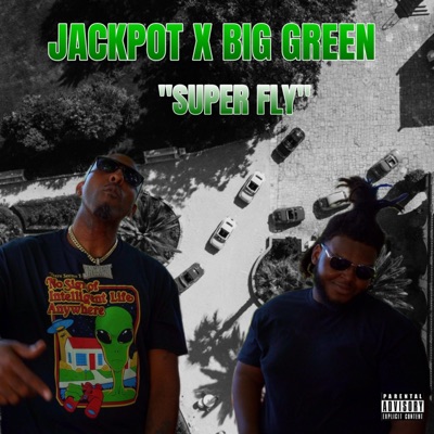 Super Fly (feat. Big Green) - Single