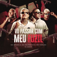 Vo Passar Com Meu Fuzil - Single - Mc Brisola, MC Dalemanha & mc toguro