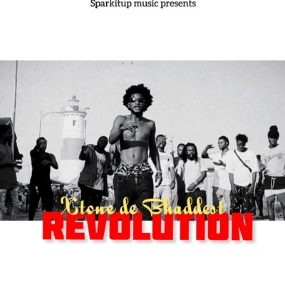Revolution - Single