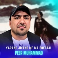 Yarano Jwand Me Ma Pokhtai - Peer Muhammad