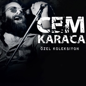 Özel Koleksiyon
