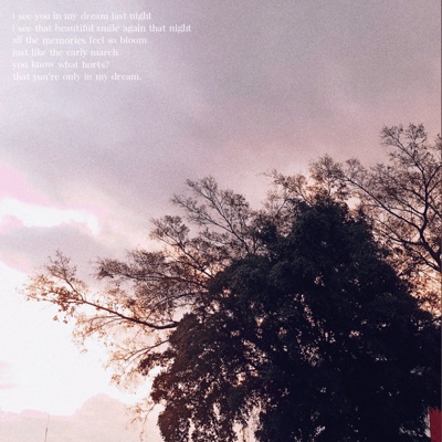 In the Silence When No One Hears - Single