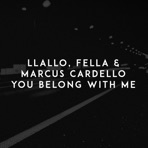 You Belong with Me - Single