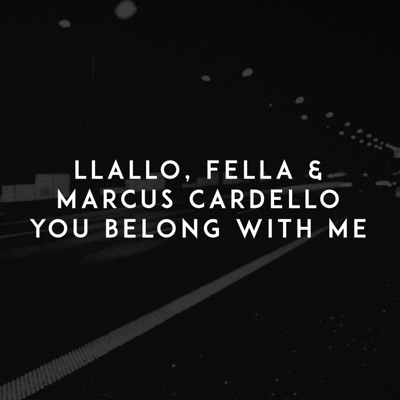 You Belong with Me - Single
