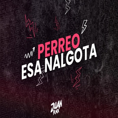 PERREO ESA NALGOTA MIX (feat. Juan Rmx) - Single