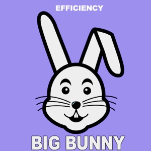Efficiency