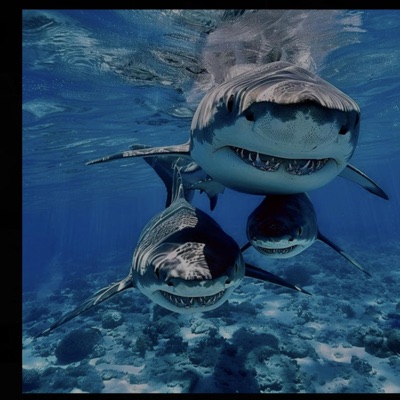 Shark Tank - EP