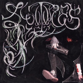 hyaena/dead end (Outro) shadowave