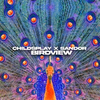 Birdview - Single - Childsplay & Sandor