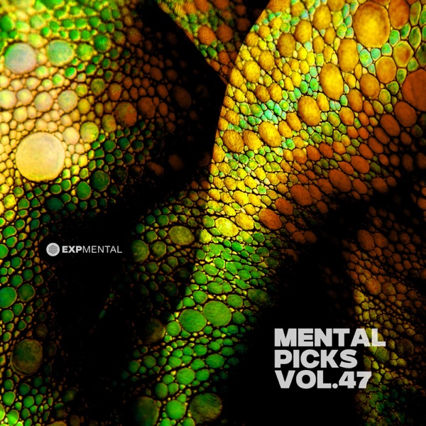 Mental Picks Vol.47 - Single