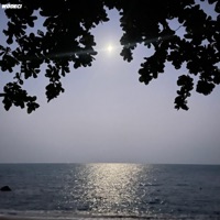 Inspirational Healing Frequency - Single - Webby