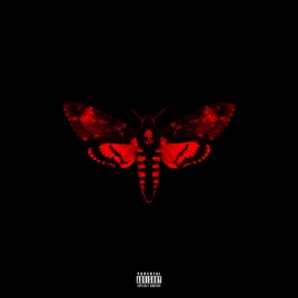 Beat the Shit (feat. Gunplay) Lil Wayne