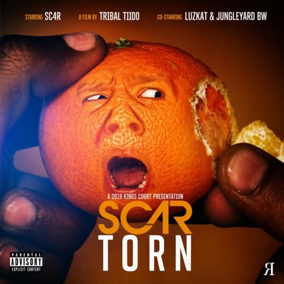 Torn (feat. Luzkat & Jungleyard Bw) - Single