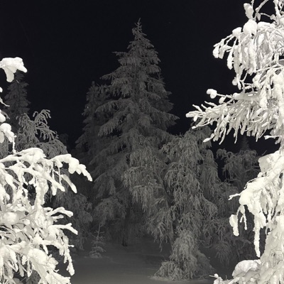 some shi I said in december - Single