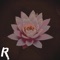 EMPATH - GEWTEX G lyrics