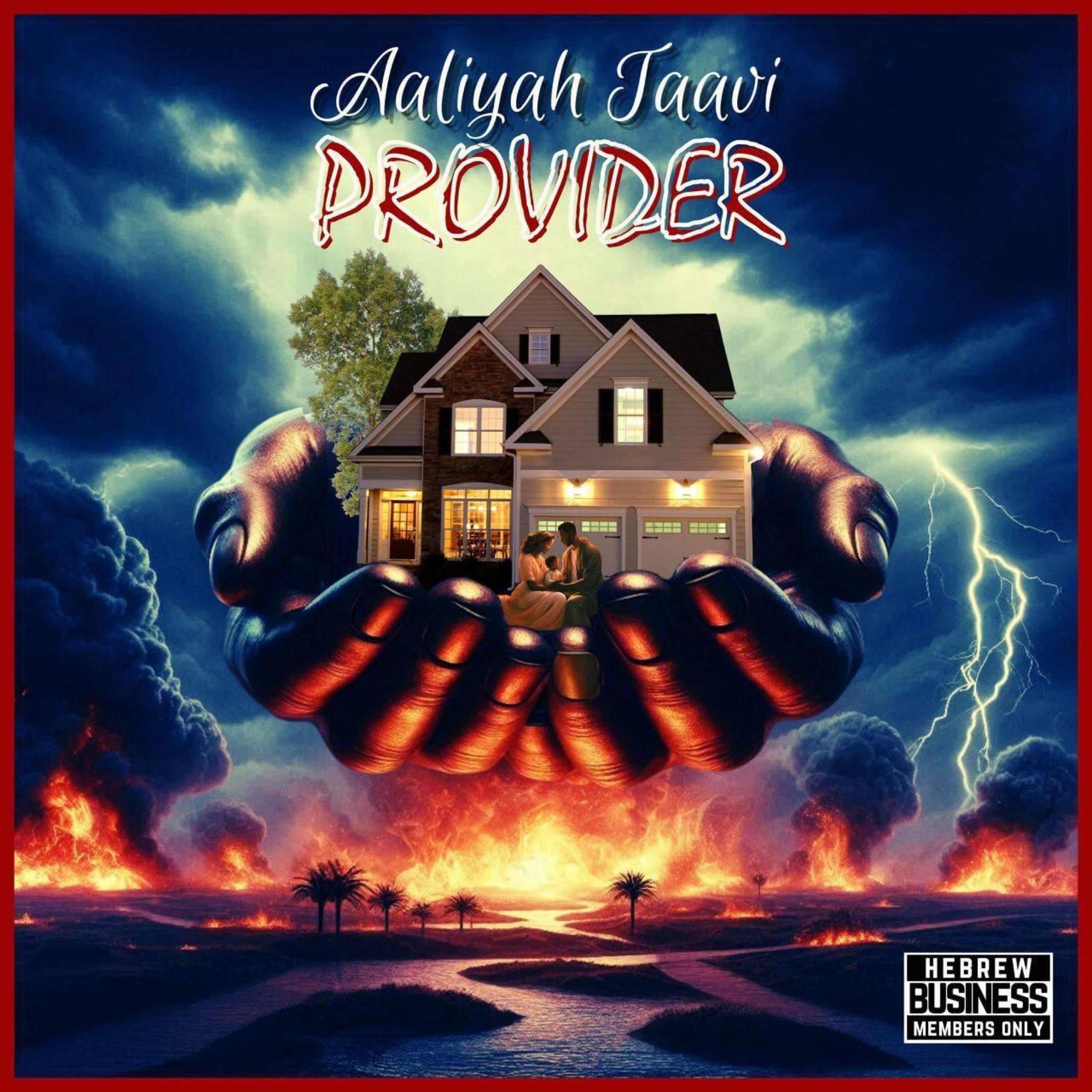 Provider - Single