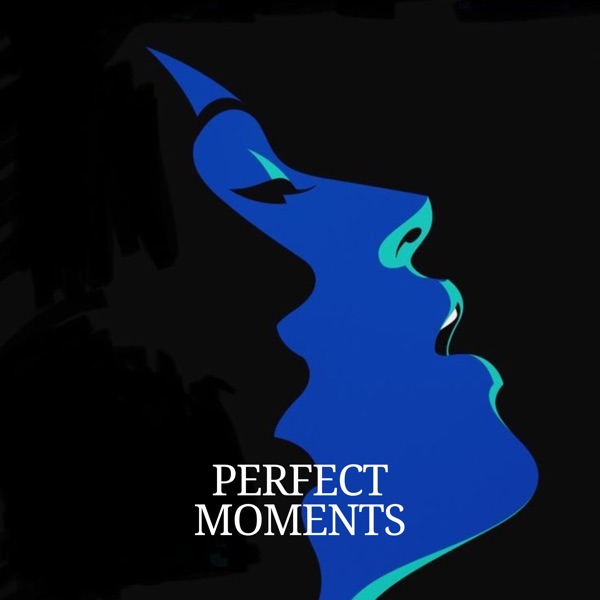 Perfect Moments - Single