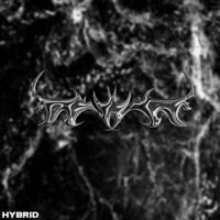 HYBRID - Single - Selektivv